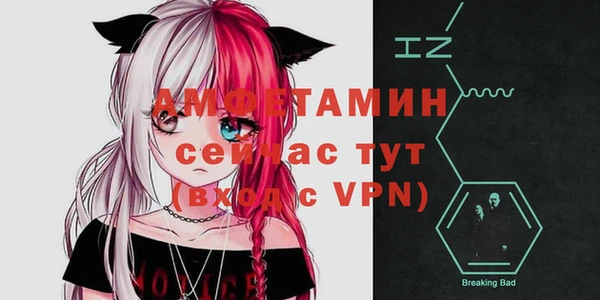 прущие крисы Новозыбков