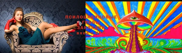 прущие крисы Новозыбков